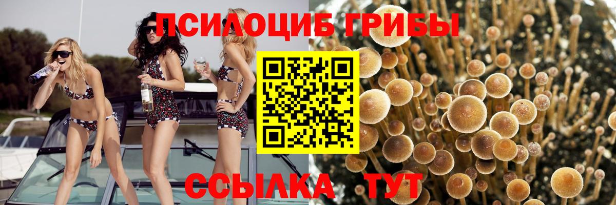 Галлюциногенные грибы прущие грибы Алексин